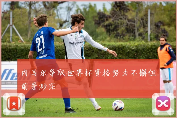 内马尔争取世界杯资格努力不懈但前景渺茫